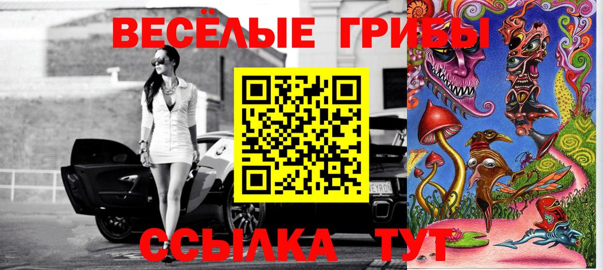 Псилоцибиновые грибы Cubensis  купить наркотики цена  Уварово  Вход с VPN  Галлюциногенные грибы Psilocybine cubensis 